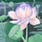 Customer review praising LF Fenimore Plumbing for being professional, reliable, and providing excellent plumbing services