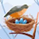 Customer review praising L.F. Fenimore Plumbing for excellent shower installation